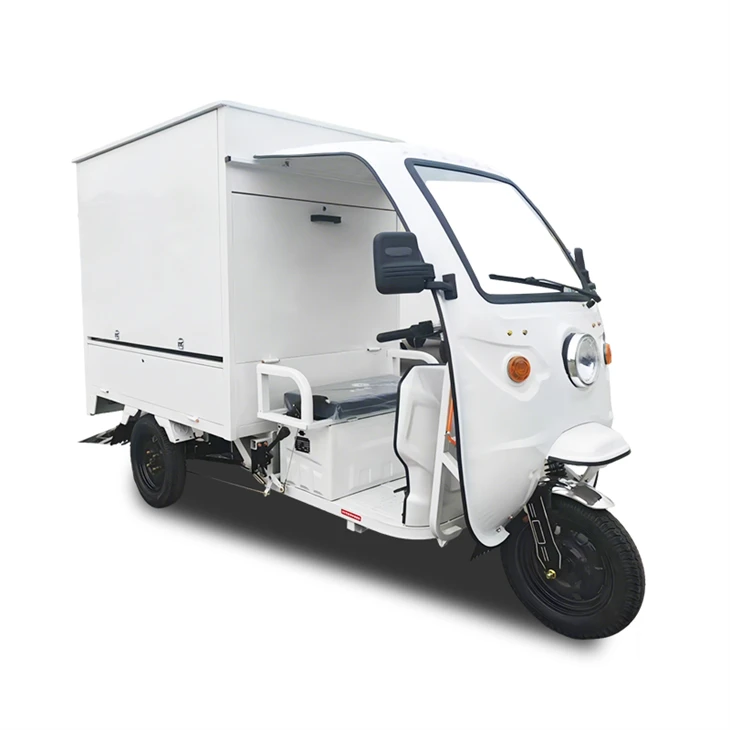 White Enclosed Electric Cargo Trike best