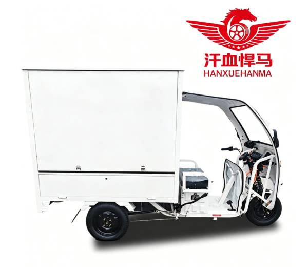 White Enclosed Electric Cargo Trike White Enclosed Electric Cargo Trike
